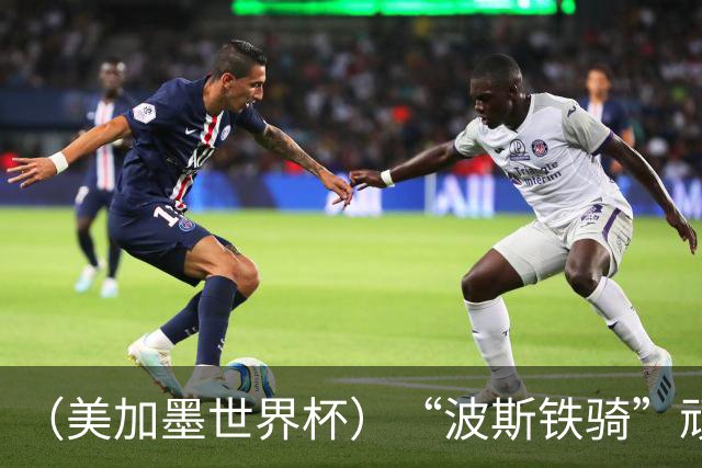 （美加墨世界杯）“波斯铁骑”顽强两连平 伊朗队期待更进一步
